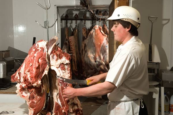 Deutsche Fleischereibetriebe schlachten mehr Fleisch denn je