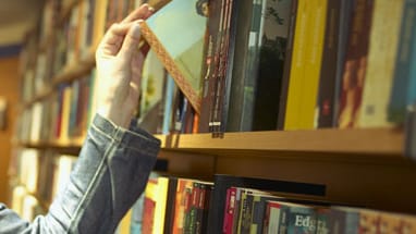 Buchpiraten betrieben illegale Internet-Bibliothek.