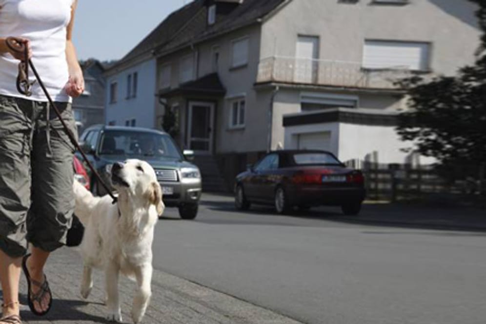 Auch das Kommando "bei Fuß" erfordert einiges an Übung.