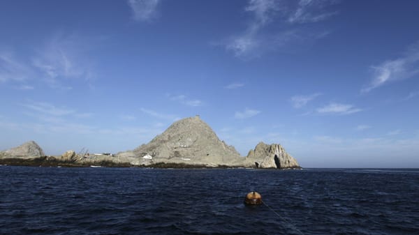 Blick auf die Farallon-Inseln im Golf der Farallones: Auch hier kann man verschiedenen Meeresjägern in Stahlkäfigen ganz nah kommen.