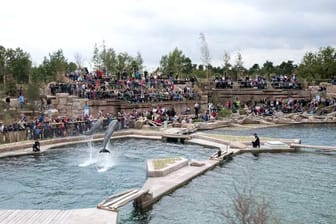 Der Tierpark in Nürnberg.