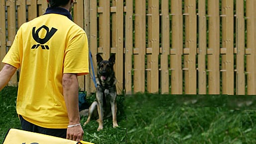 Ein Postbote der Deutschen Post beim Hundetraining.