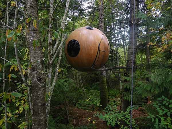 Für ganz Verrückte sind die Free Spirit Spheres in Kanada.