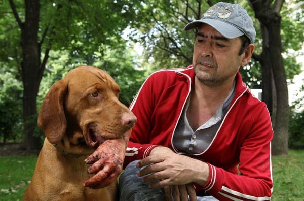 "Tatort: Falsch verpackt": Zu Beginn des Krimis apportiert der Hund eines Passanten eine abgetrennte Hand.