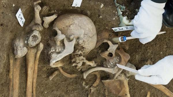 Archäologen legen ein Massengrab der Schlacht bei Lützen frei, die eine der blutigsten des Dreißigjährigen Krieges war.