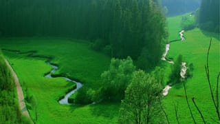 Wanderweg Donau-Zollernalb-Weg in der Schwäbischen Alb.