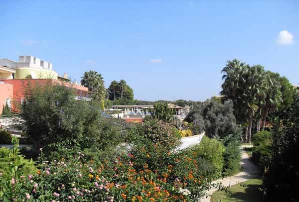 Direkt neben einem Naturschutzgebiet liegt das Hotel Grupotel Playa Club**** in Son Xoriguer auf Menorca. Der hübsch angelegte Garten begeistert mit viel Grün und einem bunten Blumenmeer.