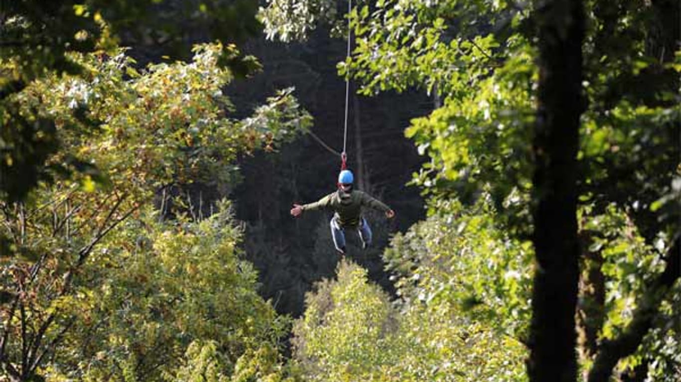 An der Zipline durch den Wald fliegen