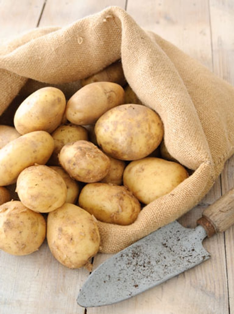 Diese Lebensmittel enthalten Giftstoffe: Kartoffeln