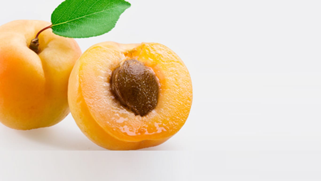 Vorsicht, giftig: Aprikosenkerne können tödlich sein.