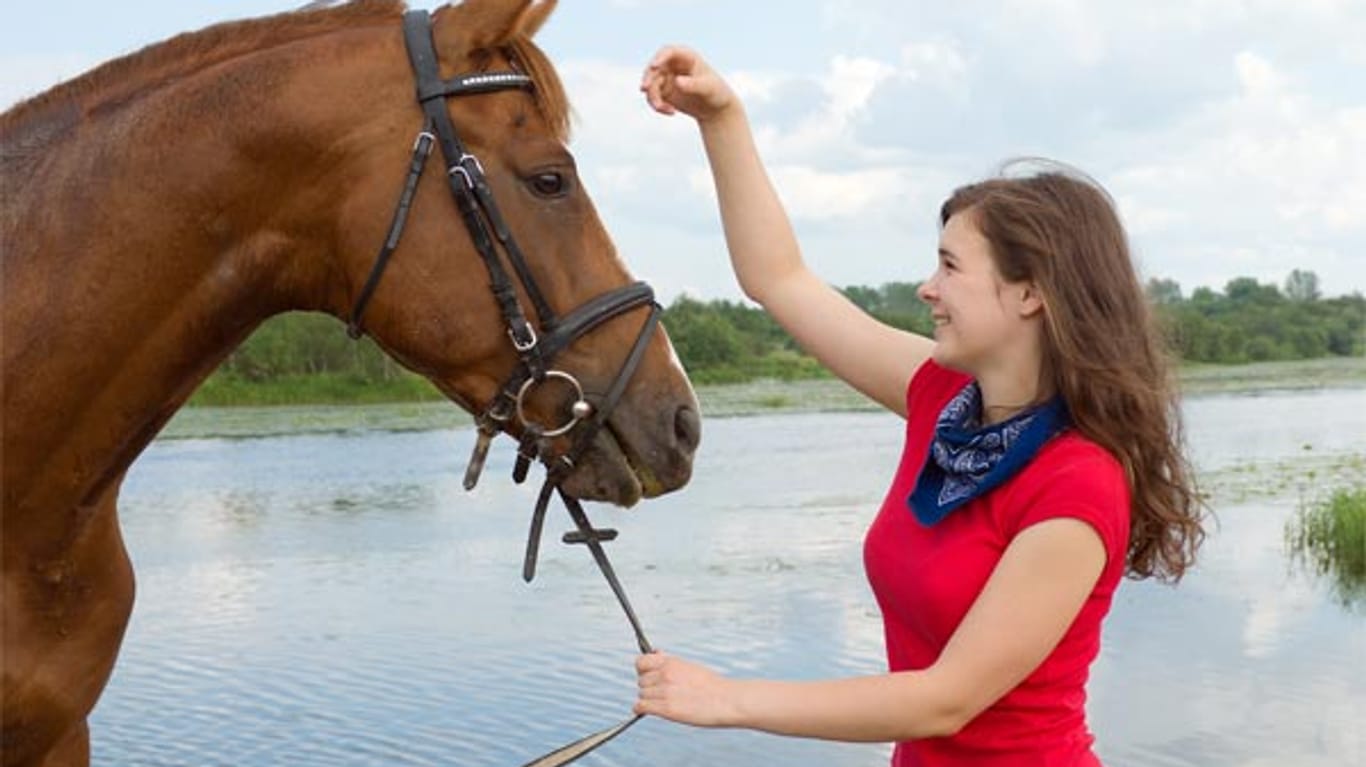 Eine gute Reitbeteiligung bringt Vorteile für Besitzer, Reiter und Pferd.