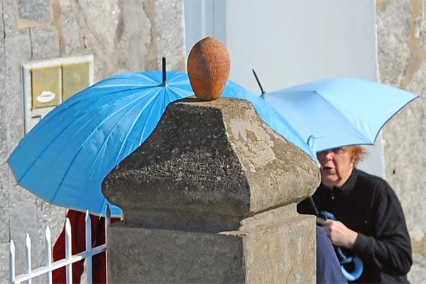 Mit blauen Schirmen schützen sie sich vor den Fotografen.