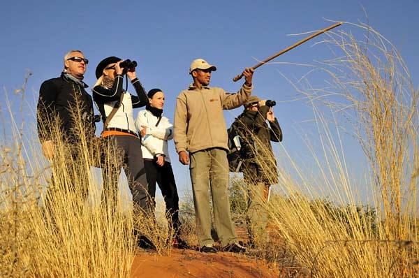 Ein Buschmann-Guide erklärt den Touristen auf einer Wanderung die Natur der Kalahari.