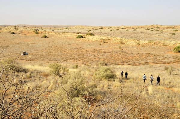Zu Fuß geht es mit einem Buschmann in die Weiten der Kalahari .