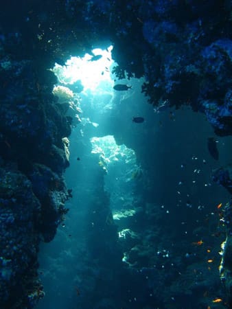 Unterwasserhöhle in Elphinstone/Ägypten: Bunt schillert die Unterwasserwelt vor der Küste Ägyptens.