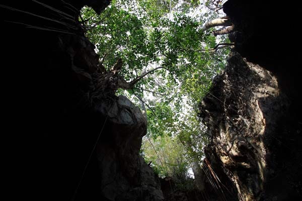 Höhle im Khao-Yai Nationalpark/Thailand: Der größte und älteste Nationalpark Thailands lockt mit unterirdischen Höhlenformationen, idyllischen Wasserfällen und unberührter Natur.