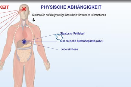 Klick aufs Bild: So schlimm sind die Folgen von Alkohol.