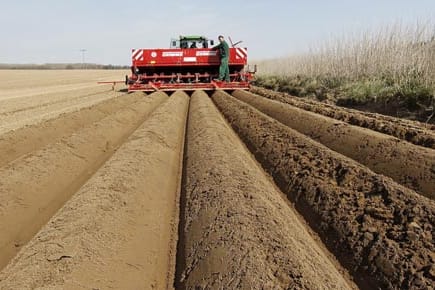 Investitionen in Ackerland: eine wertstabile Anlage