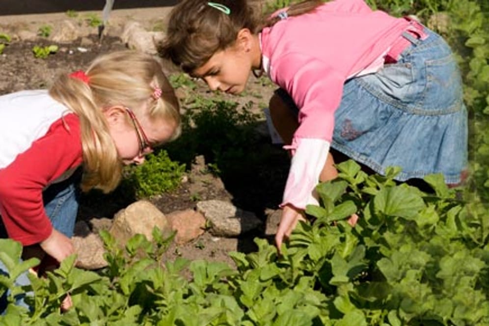 Schon kleine Kinder können im Garten helfen.