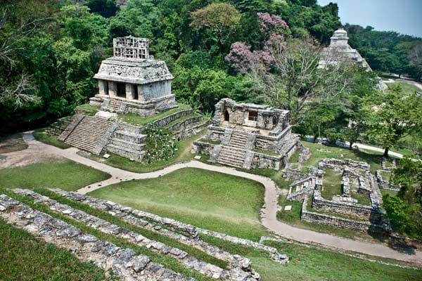 Palenque: Dicht an dicht stehen die Bauwerke, die Archäologen dem Urwald abgerungen haben. Moos überwuchert manche Treppe und manche Wand. Dennoch ist der Zustand der Gebäude außergewöhnlich gut. Nirgendwo sonst kann man die Inschriften der Maya besser erforschen als in der bedeutenden Maya-Metropole, die für ihre Architektur, Skulpturen und Hieroglyphen bekannt ist.