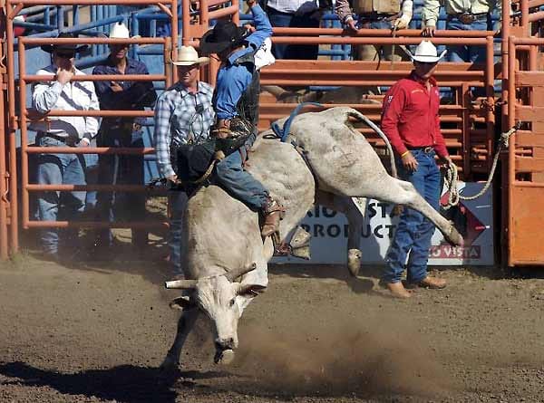 Einen wilden Bullen bezwingen: Nichts für schwache Nerven und garantiert nichts für Weichlinge: Die Cowboys aus dem wilden Westen sind der Inbegriff der ganz harten Männer. Jeder, der sich dem gewachsen fühlt, kann in Dallas in einer Rodeo Schule eines ehemaligen Rodeo-Profis einen Bullen besteigen. Ja, einen echten, wilden Bullen. Vorher gibt es ein paar Tage Vorbereitungstraining, denn auf die leichte Schulter sollte Mann dieses Erlebnis nicht nehmen. Einen wilden Bullen bezwingen: Nichts für schwache Nerven und garantiert nichts für Weichlinge: Die Cowboys aus dem wilden Westen sind der Inbegriff der ganz harten Männer. Jeder, der sich dem gewachsen fühlt, kann in Dallas in einer Rodeo Schule eines ehemaligen Rodeo-Profis einen Bullen besteigen. Ja, einen echten, wilden Bullen. Vorher gibt es ein paar Tage Vorbereitungstraining, denn auf die leichte Schulter sollte Mann dieses Erlebnis nicht nehmen.
