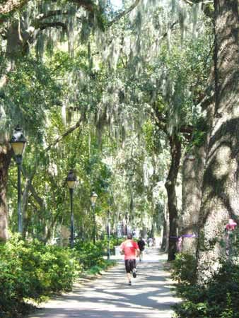 Savannah hat fast zwei Dutzend Parks, in denen man joggen kann. Die moosbehangenen Eichen sind prägend für das Stadtbild.