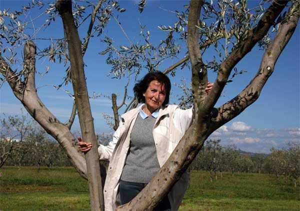 Auf der Plantage von Jolanta Pavlovic stehen mehr als 2000 Olivenbäume.
