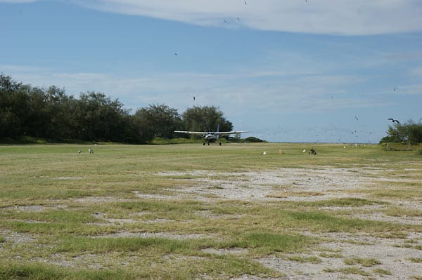 Schon die Anreise ist abenteuerlich. Mit einem Kleinflugzeug geht es von Hervey Bay oder Bundaberg auf die Insel, die Landebahn ist grasbewachsen und führt einmal quer über die Insel.
