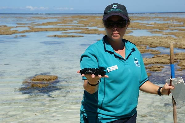 Bei geführten Riff-Wanderungen erläutern Mitarbeiter die Unterwasserwelt rund um die Insel.
