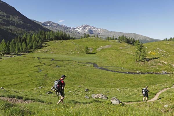 Wer in Südtirol unterwegs ist, kann super entspannen. Hier bewältigen Wanderer den Abstieg von der oberen Weissbrunneralm im Ultental.