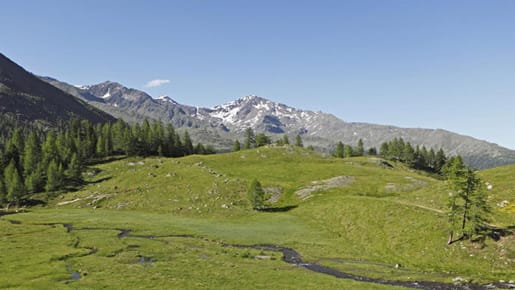 Südtirol: Das Ultental - Abstieg von der oberen Weissbrunneralm.