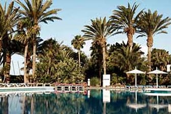 Die Palmen am Pool des Robinson Club Jandia Playa bei Morro Jable auf Fuerteventura - vor dem Unglück