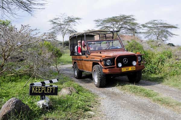 Mit den hauseigenen Safari-Wagen gehen die Touristen auf Entdeckungstour.