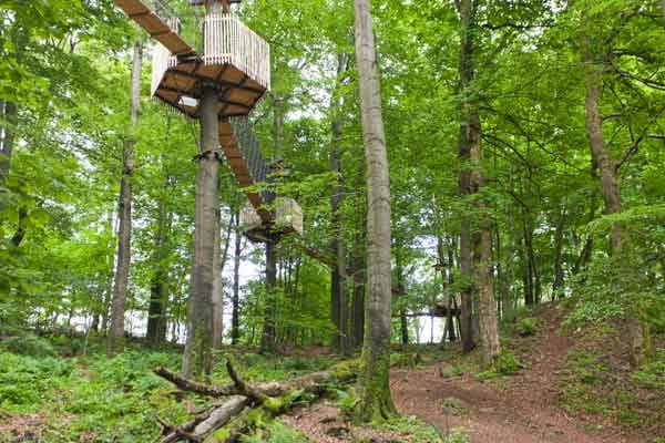 Am Hoherodskopf im Vogelsberg eröffnet mit dem "schwebenden Baumkronenpfad“ Europas erster Baumkronenpfad mit Hängebrücken zwischen den Bäumen.