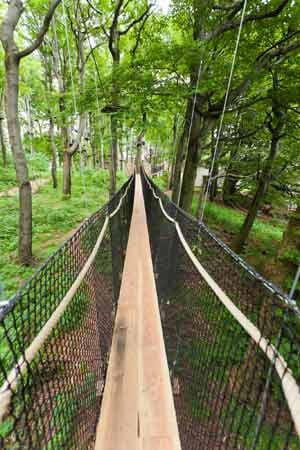 Der erste "schwebende" Baumkronenpfad Europas bietet Besuchern aber nicht nur ein außergewöhnliches Naturerlebnis...
