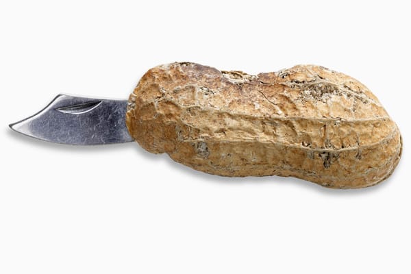Die Erdnuss, in der sich ein kleines Messer verbirgt, stammt aus den 1970er-Jahren aus den USA.