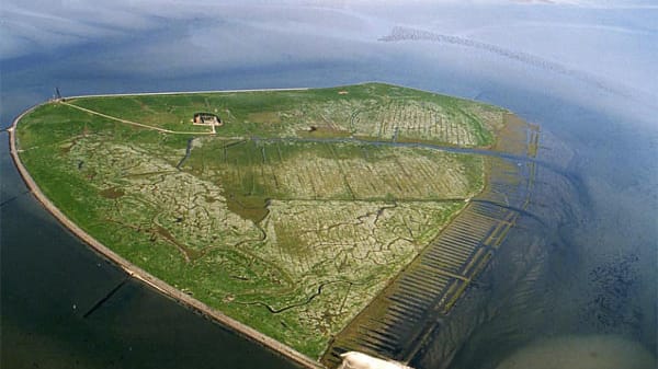 Die Hallig Süderoog ist besonders bei Brautpaaren beliebt.