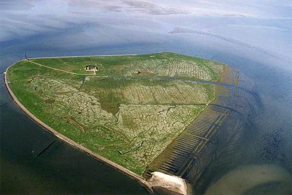 Die Hallig Süderoog ist besonders bei Brautpaaren beliebt.