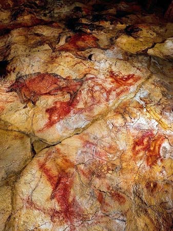 Diese Malerei in der Höhle "Altamira" zeigt ein Bison. Die Höhlenmalereien in Spanien wurden erstmals in den 1870er Jahren entdeckt.
