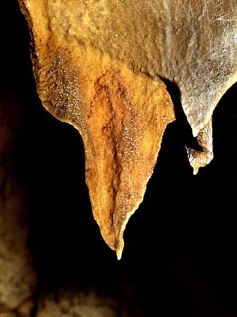 Höhlenmalerei in der "Tito Bustillo"-Höhle. Ob die Malereien vom modernen Menschen oder dem Neandertaler stammen, darüber sind sich die Forscher nicht einig.