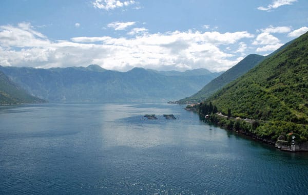 Bucht von Kotor/Montenegro: Strahlendblaues Wasser umschlossen von bewaldeten Bergketten – in der Bucht von Kotor bietet sich Urlaubern ein atemberaubendes Panorama.