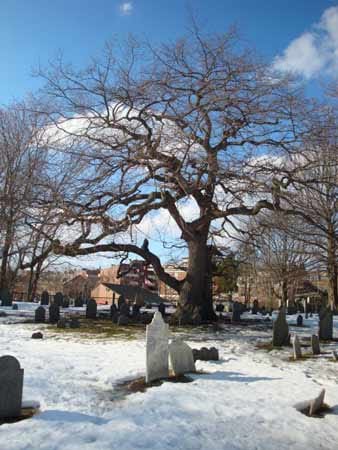 Auf dem Friedhof der US-Stadt Salem finden sich Gräber vermeintlicher Hexen, die im 17. Jahrhundert verfolgt und getötet wurden.