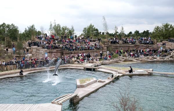 Delfine sind im Tierpark Nürnberg zu bewundern (Platz sechs).