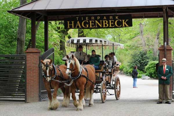 Der Name Hagenbeck (Platz vier) ist weltweit bekannt durch Carl Hagenbecks revolutionäre Zooarchitektur, die zahme Dressur und Tiergartenbiologie.