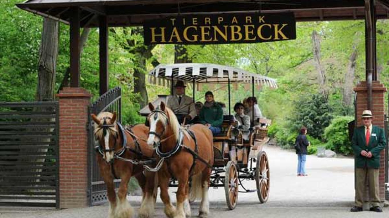 Der Name Hagenbeck (Platz vier) ist weltweit bekannt durch Carl Hagenbecks revolutionäre Zooarchitektur, die zahme Dressur und Tiergartenbiologie.
