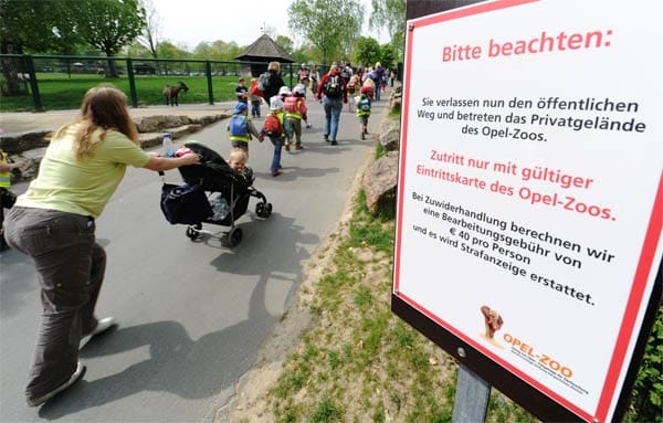 Platz 10: Der Opelzoo in Kronberg (Taunus) ist bei Familien sehr beliebt.