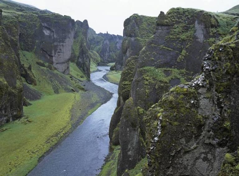 Island: Schlucht Fjaðrárgljúfur.