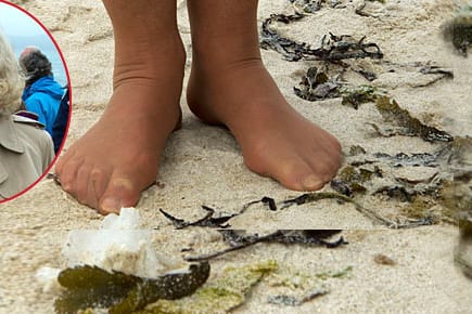 Herzogin Camilla genoss diesen offiziellen Termin am Strand einfach barfuß.
