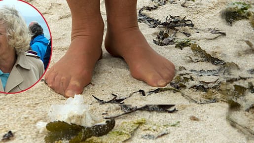Herzogin Camilla genoss diesen offiziellen Termin am Strand einfach barfuß. Herzogin Camilla genoss diesen offiziellen Termin am Strand einfach barfuß.