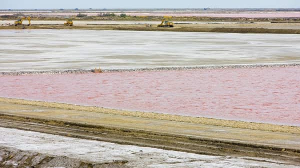 Das weiße Gold – Fleur de Sel. Die Blume tritt nur an extrem heißen und windstillen Tagen auf und wird von Hand mit Holzkelle abgeschöpft.